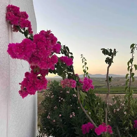 Villa Cortijo Amara Agua Agua Amarga (Almeria)