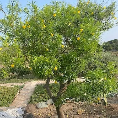 Villa Cortijo Amara Agua *