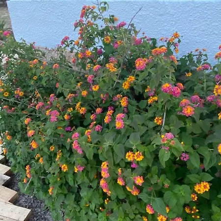 Cortijo Amara Agua Villa